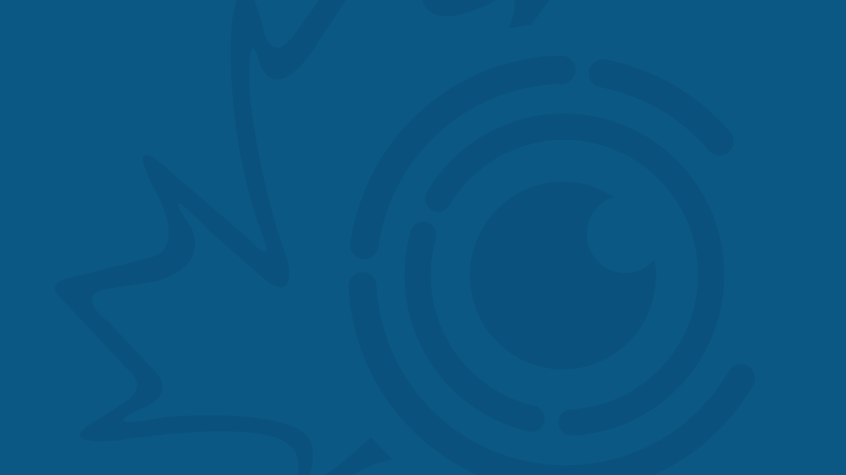Office of the Correctional Investigator - Report Office of the Correctional Investigator - Report
