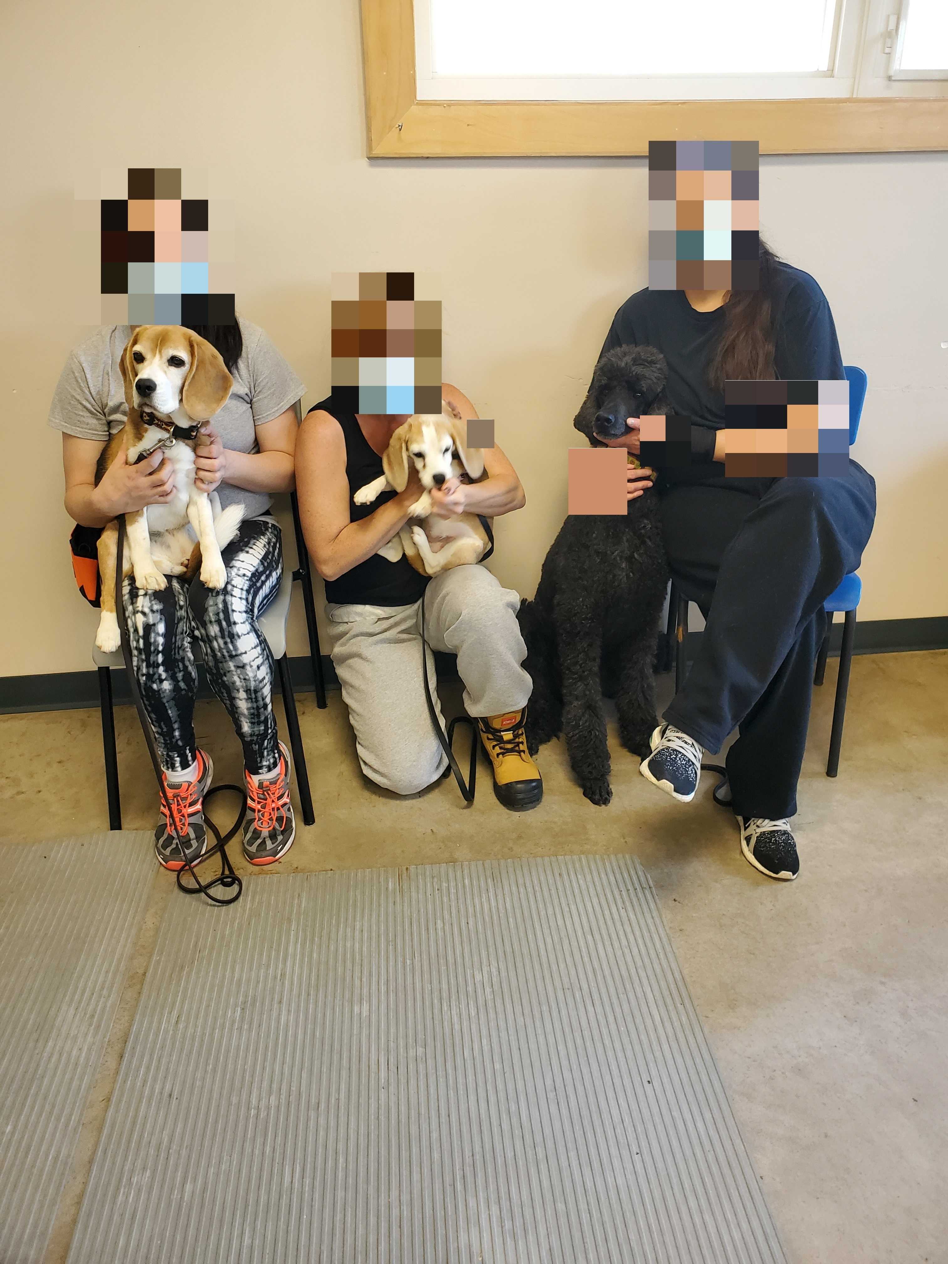 Photo des participants au programme canin de l’Établissement Nova.