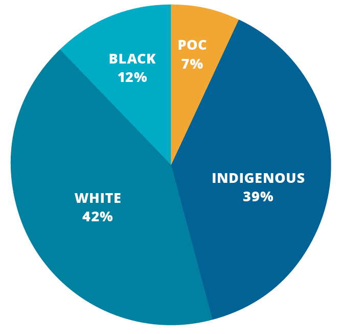 graphique circulaire décrivant la race de toutes les personnes impliquées dans des incidents de recours à la force au cours des cinq dernières années.
• Blanc : 42 %
• Autochtone : 39 %
• Noir : 12 %
• Personne de couleur (PDC) : 7 %