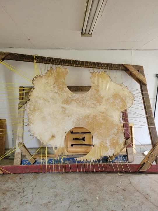 Photo of hide being stretched at Pê Sâkâstêw Centre.